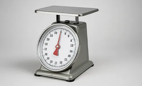 Mechanical Portion Scales