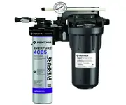 Steam Treatment Systems