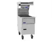 Fryer Dump Stations